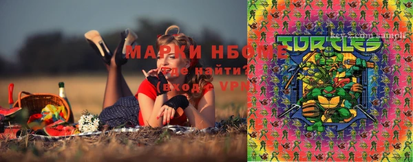 шишки Данков