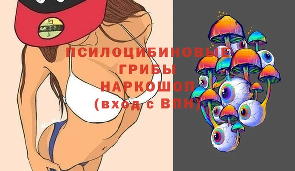 шишки Данков