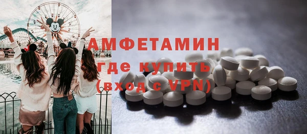 мдпв Грязовец